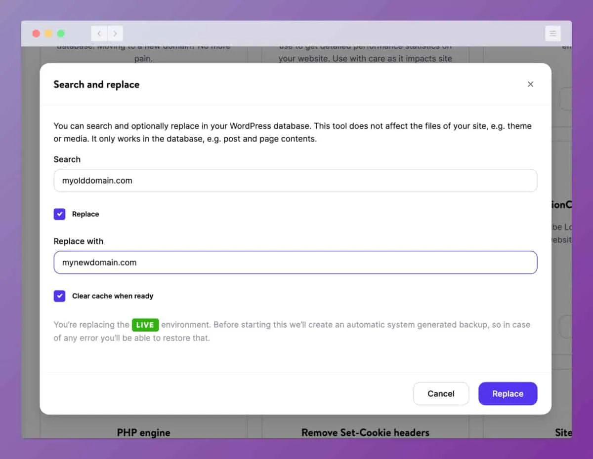 Kinsta search and replace tool